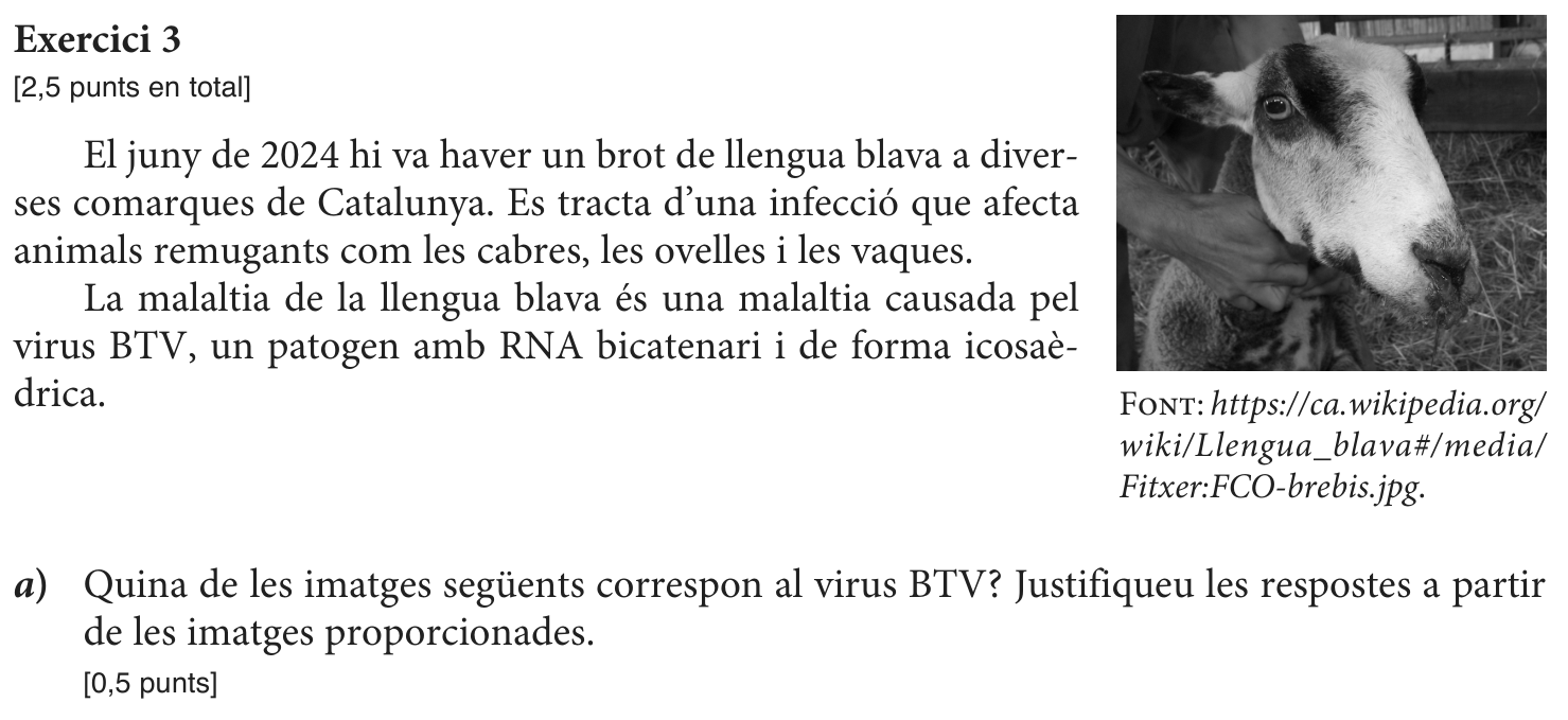 Enunciat, part 1