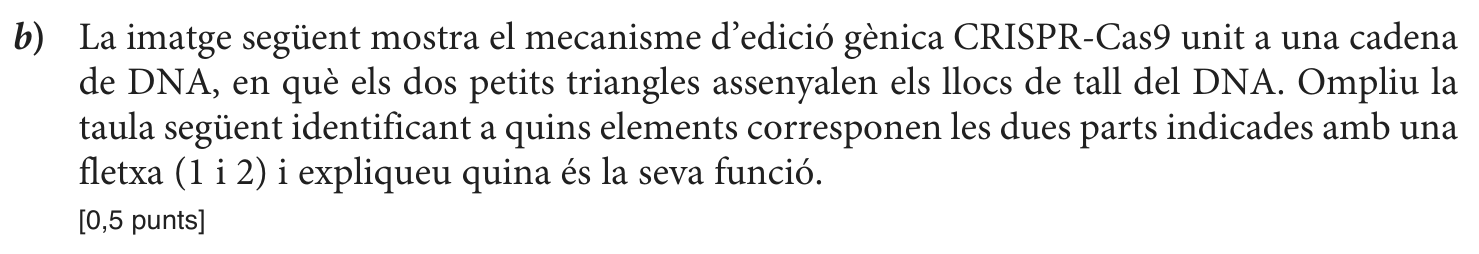 Enunciat, part 3