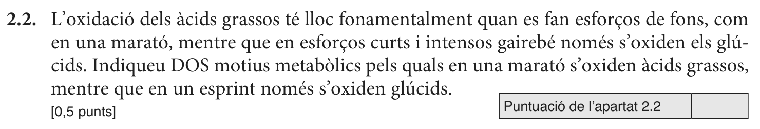 Enunciat · Apartat 2.2, part 1