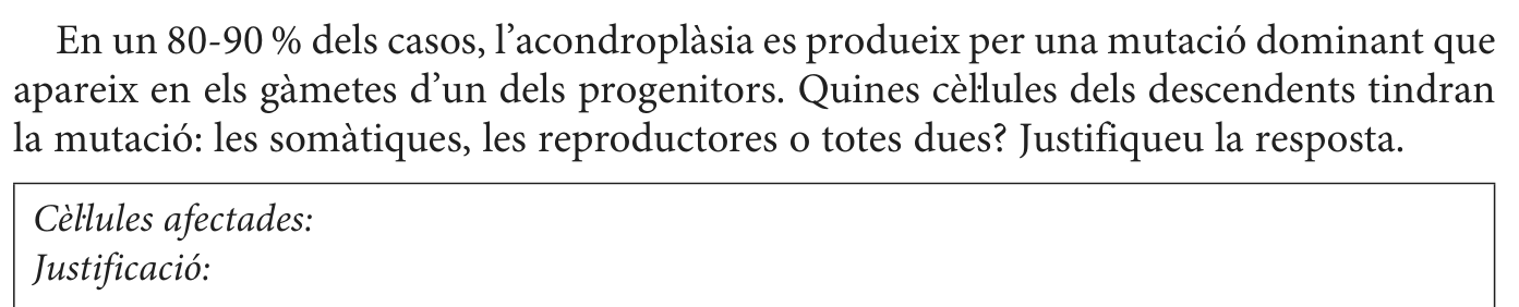 Enunciat · Apartat 3.3, part 2
