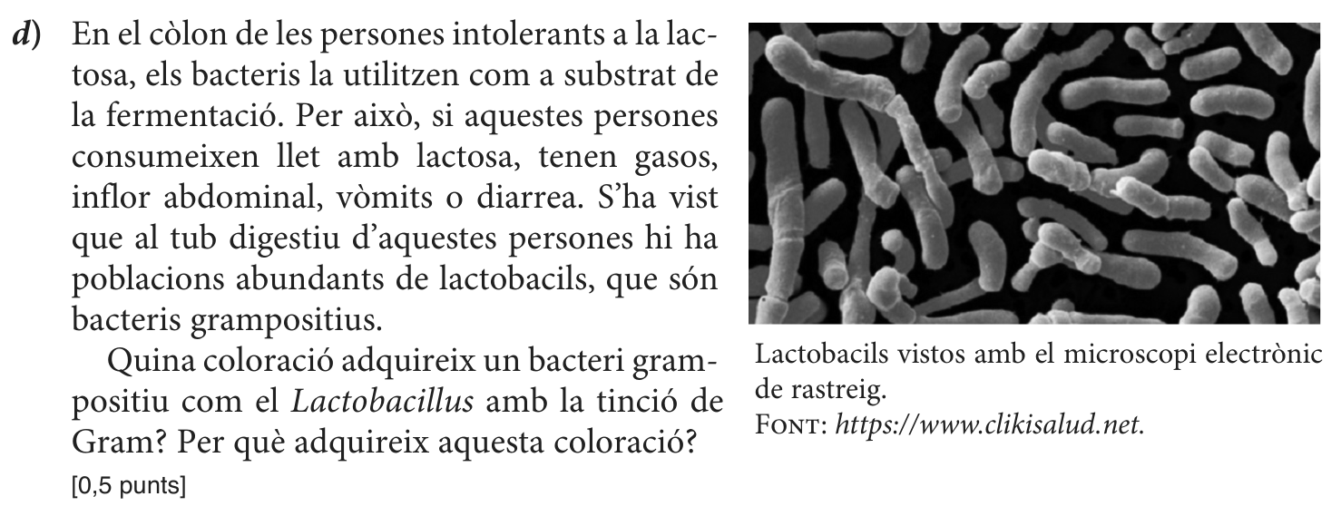 Enunciat · Exercici 1, part 11